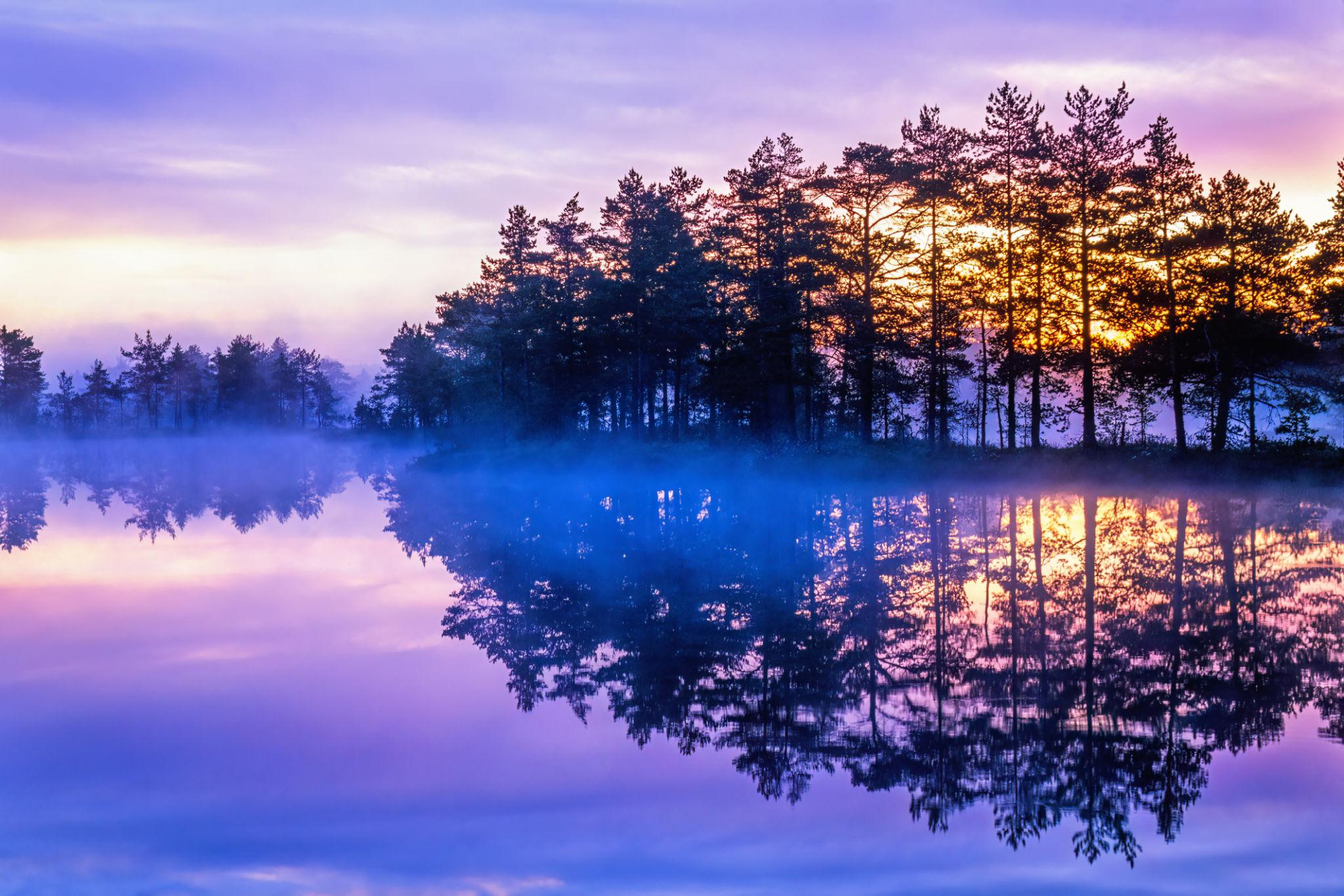 Nature competition entry